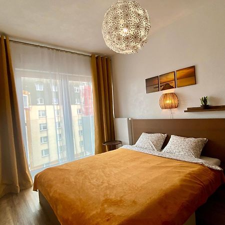 Zebra Daire Wroclaw Dış mekan fotoğraf