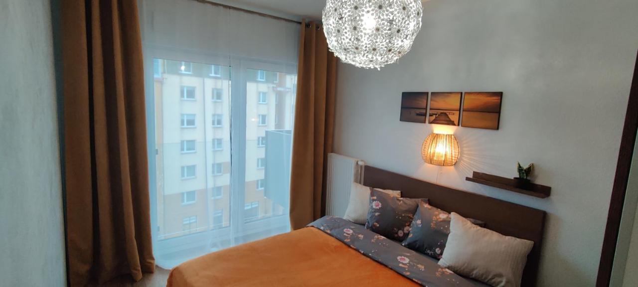 Zebra Daire Wroclaw Dış mekan fotoğraf