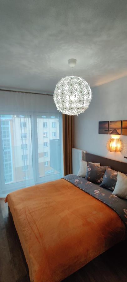 Zebra Daire Wroclaw Dış mekan fotoğraf